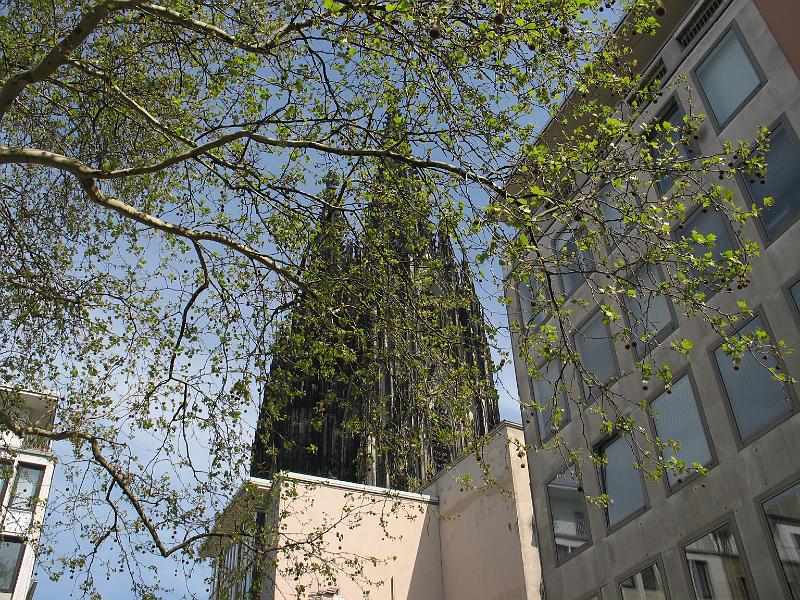 IMG_7579.JPG - View of cathedral in Cologne
